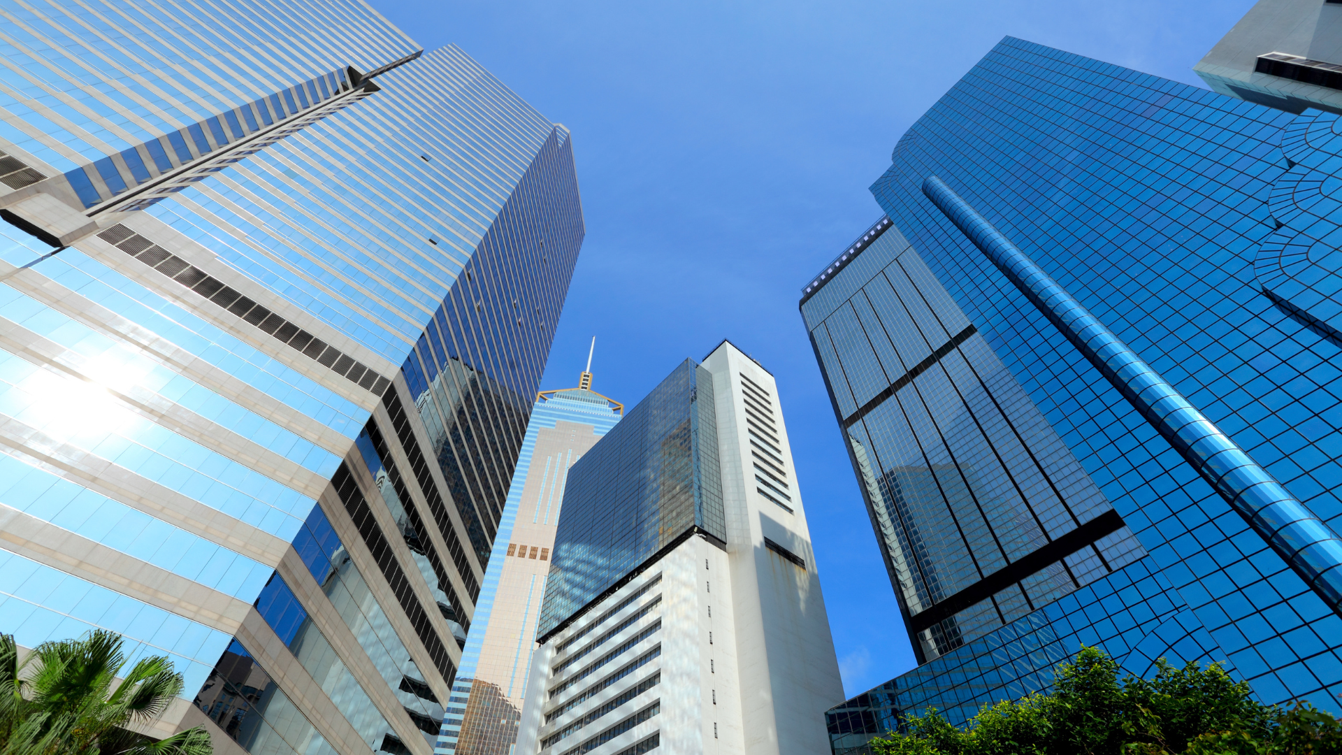 commercial real estate portfolio